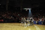 Extreme - 00941